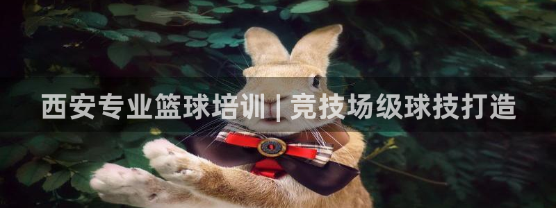 欧陆娱乐官网注册中心：西安专业篮球培训 | 竞技场级
