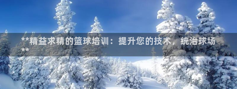 欧陆娱乐有限公司招聘：**精益求精的篮球培训：提升您