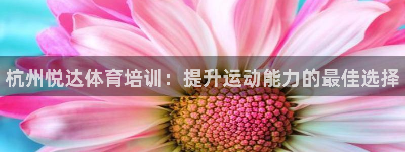 欧陆娱乐代理多少个点位合适：杭州悦达体育培训：提升运