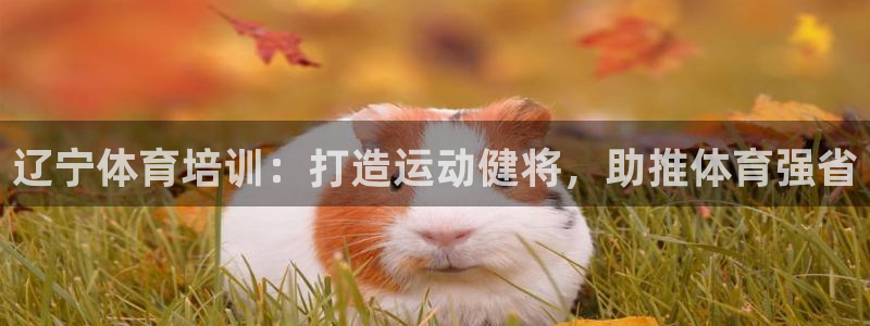欧陆娱乐招商主管