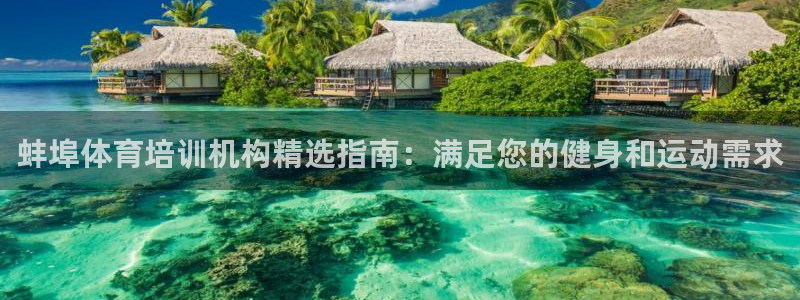 欧陆娱乐欢迎访问：蚌埠体育培训机构精选指南：满足您的