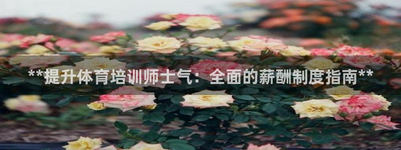 欧陆娱乐平台咋样啊：**提升体育培训师士气：全面的薪