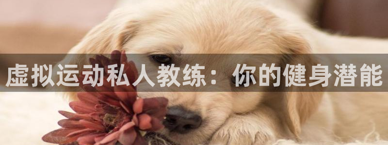 欧陆娱乐官网入口：虚拟运动私人教练：你的健身潜能