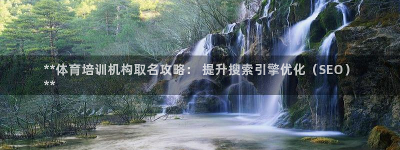欧陆娱乐挂机项目有哪些：**体育培训机构取名攻略： 