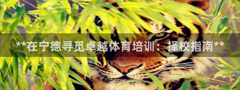欧陆娱乐代理多少个点位可以赚钱：**在宁德寻觅卓越体