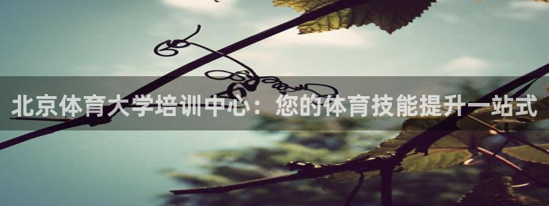 欧陆娱乐出款：北京体育大学培训中心：您的体育技能提升