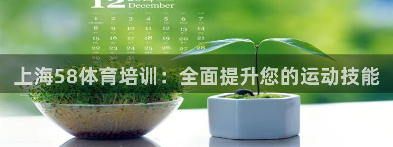欧陆娱乐平台登陆地址在哪看：上海58体育培训：全面提