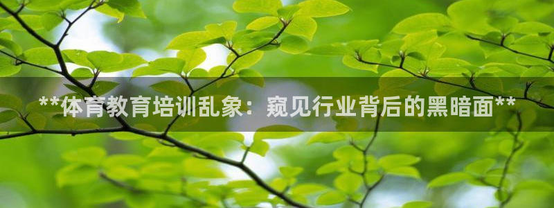 欧陆娱乐官方网站入口：**体育教育培训乱象：窥见行业