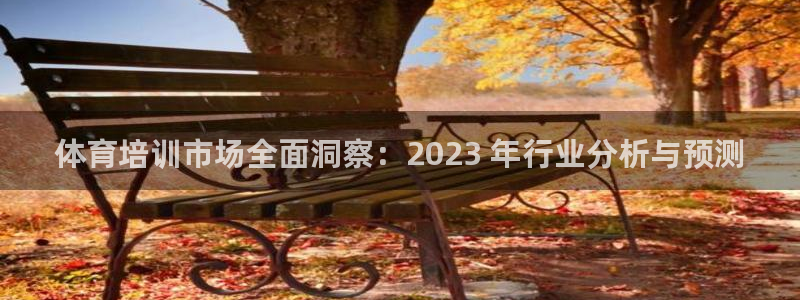 欧陆娱乐计划app官方正版安装下载苹果：体育培训市场