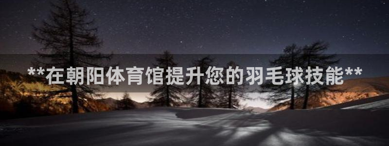 欧陆娱乐信誉如何：**在朝阳体育馆提升您的羽毛球技能