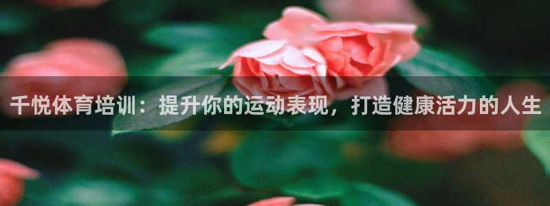 欧陆娱乐平台登陆地址在哪看：千悦体育培训：提升你的运