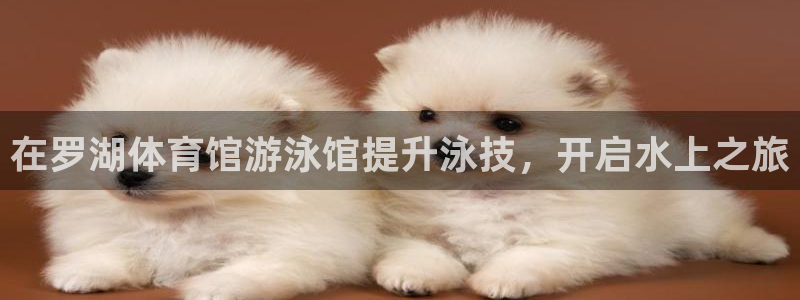 欧陆娱乐登录官网网址：在罗湖体育馆游泳馆提升泳技，开