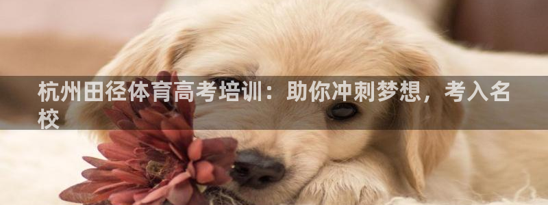 欧陆娱乐能不能玩手游：杭州田径体育高考培训：助你冲刺
