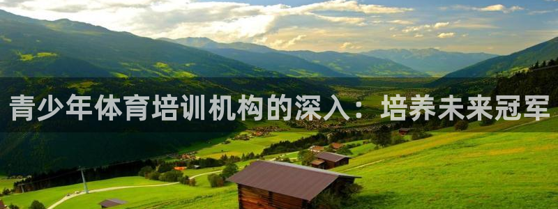 欧陆娱乐微信：青少年体育培训机构的深入：培养未来冠军