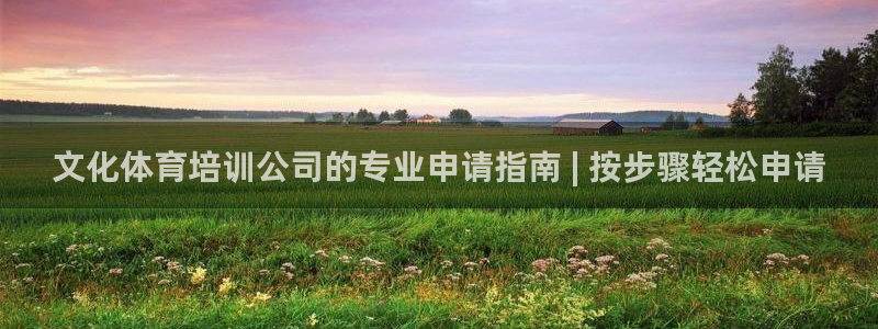 欧陆娱乐计划预测软件：文化体育培训公司的专业申请指南