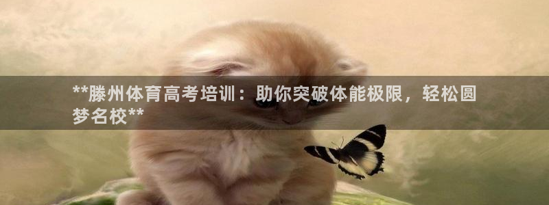 欧陆娱乐系统教程：**滕州体育高考培训：助你突破体能
