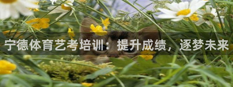 欧陆娱乐官方客服电话：宁德体育艺考培训：提升成绩，逐