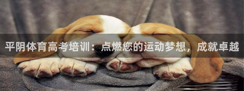 欧陆娱乐平台登陆地址：平阴体育高考培训：点燃您的运动