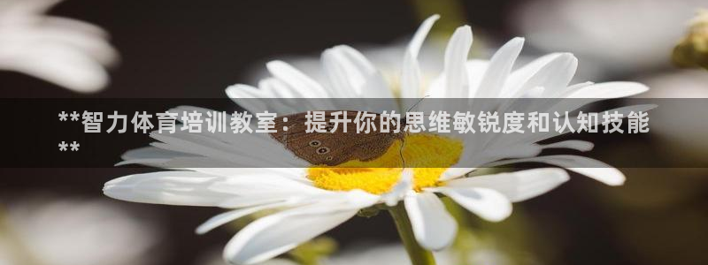 欧陆娱乐登录注册平台：**智力体育培训教室：提升你的