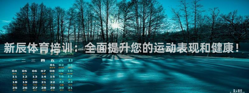 欧陆娱乐登录注册平台官网：新辰体育培训：全面提升您的