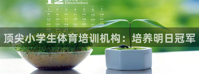 欧陆娱乐app打不开怎么回事：顶尖小学生体育培训机构