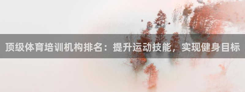 欧陆娱乐注册代理多少钱啊：顶级体育培训机构排名：提升