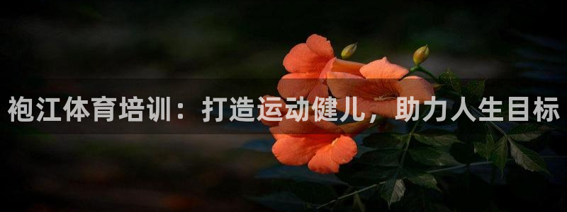 欧陆娱乐挂机项目怎么设置：袍江体育培训：打造运动健儿