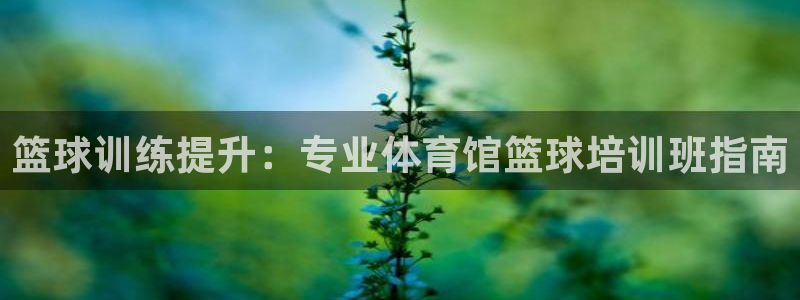 欧陆娱乐注册链接安全吗可靠吗：篮球训练提升：专业体育