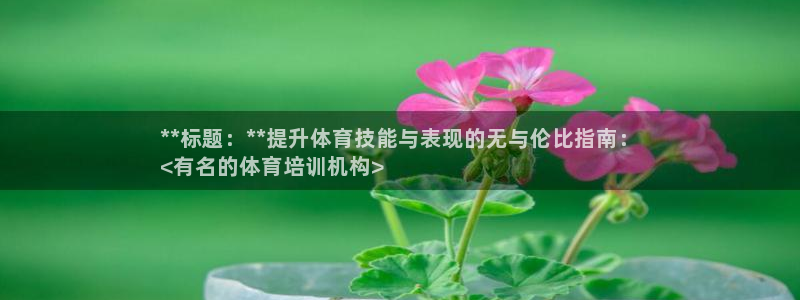 欧陆娱乐测速：**标题：**提升体育技能与表现的无与