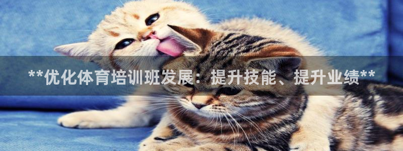 欧陆娱乐官方网站首页：**优化体育培训班发展：提升技