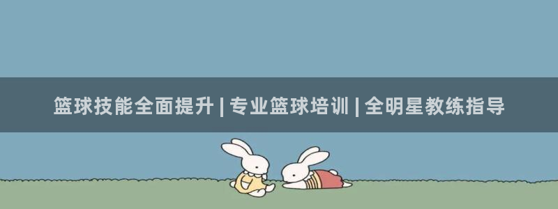 欧陆娱乐平台咋样啊安全吗：篮球技能全面提升 | 专业