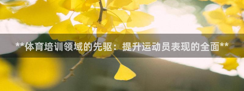 欧陆娱乐代理多少个点位可以赚钱：**体育培训领域的先