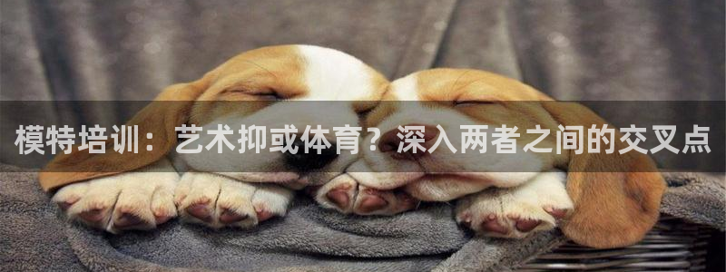 欧陆娱乐微信众：模特培训：艺术抑或体育？深入两者之间