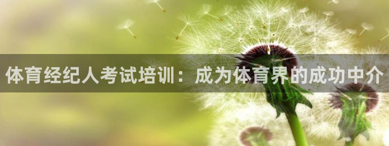 欧陆娱乐测试官网：体育经纪人考试培训：成为体育界的成