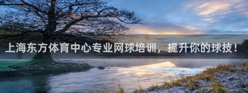 欧陆娱乐注册链接安全吗：上海东方体育中心专业网球培训