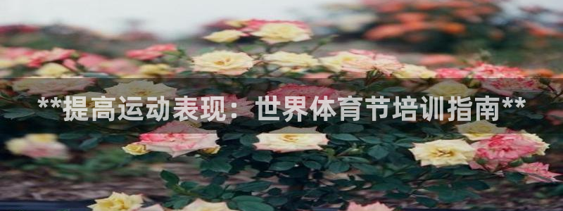 欧陆娱乐是干什么的：**提高运动表现：世界体育节培训