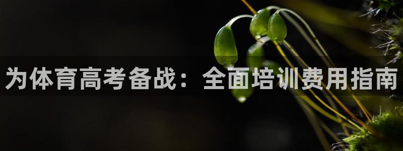 欧陆娱乐注册代理多少钱一个月：为体育高考备战：全面培