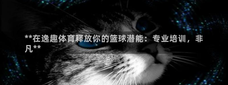 欧陆娱乐突然登录不了了：**在逸趣体育释放你的篮球潜