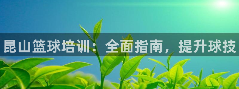 欧陆娱乐官方客服电话：昆山篮球培训：全面指南，提升球