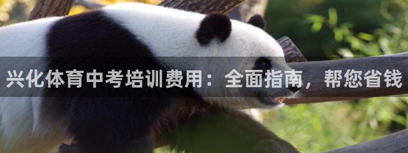 欧陆娱乐注册代理多少钱一个月：兴化体育中考培训费用：