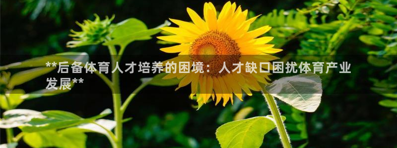 欧陆娱乐怎么注册帐号啊：**后备体育人才培养的困境：