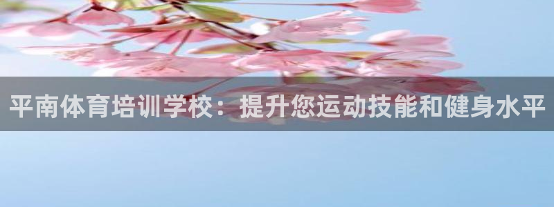 欧陆娱乐登陆平台：平南体育培训学校：提升您运动技能和
