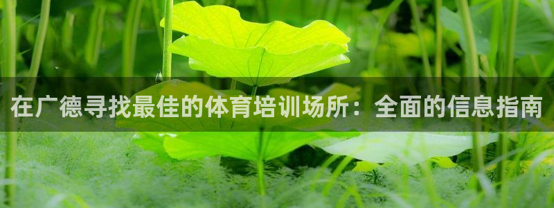 欧陆官网下载：在广德寻找最佳的体育培训场所：全面的信