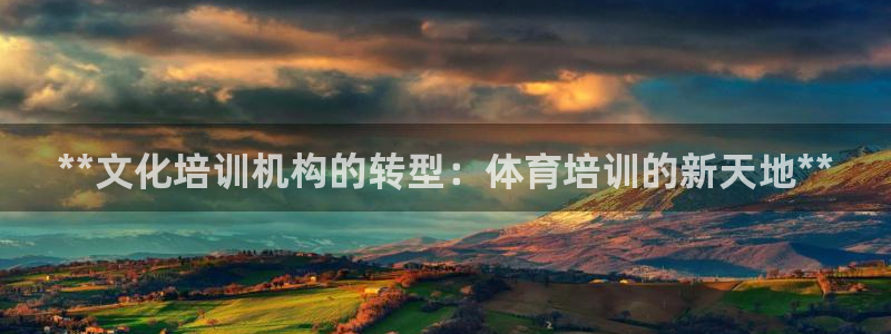 欧陆娱乐平台咋样啊：**文化培训机构的转型：体育培训