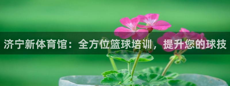 欧陆娱乐系统教程：济宁新体育馆：全方位篮球培训，提升