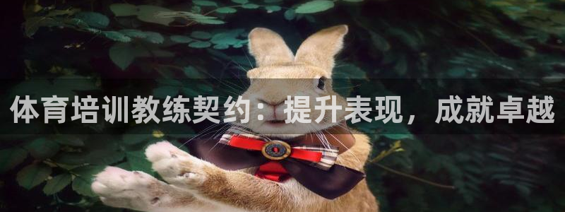 欧陆娱乐是那个旗下的品牌公司：体育培训教练契约：提升