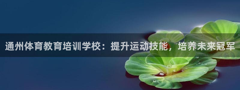 欧陆娱乐挂机项目有哪些：通州体育教育培训学校：提升运