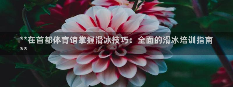 欧陆娱乐测速软件下载：**在首都体育馆掌握滑冰技巧：