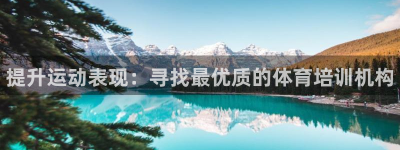 欧陆是什么平台：提升运动表现：寻找最优质的体育培训机
