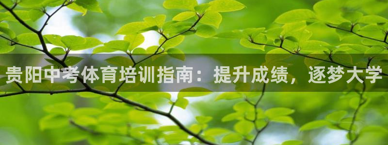 欧陆娱乐测速软件下载：贵阳中考体育培训指南：提升成绩